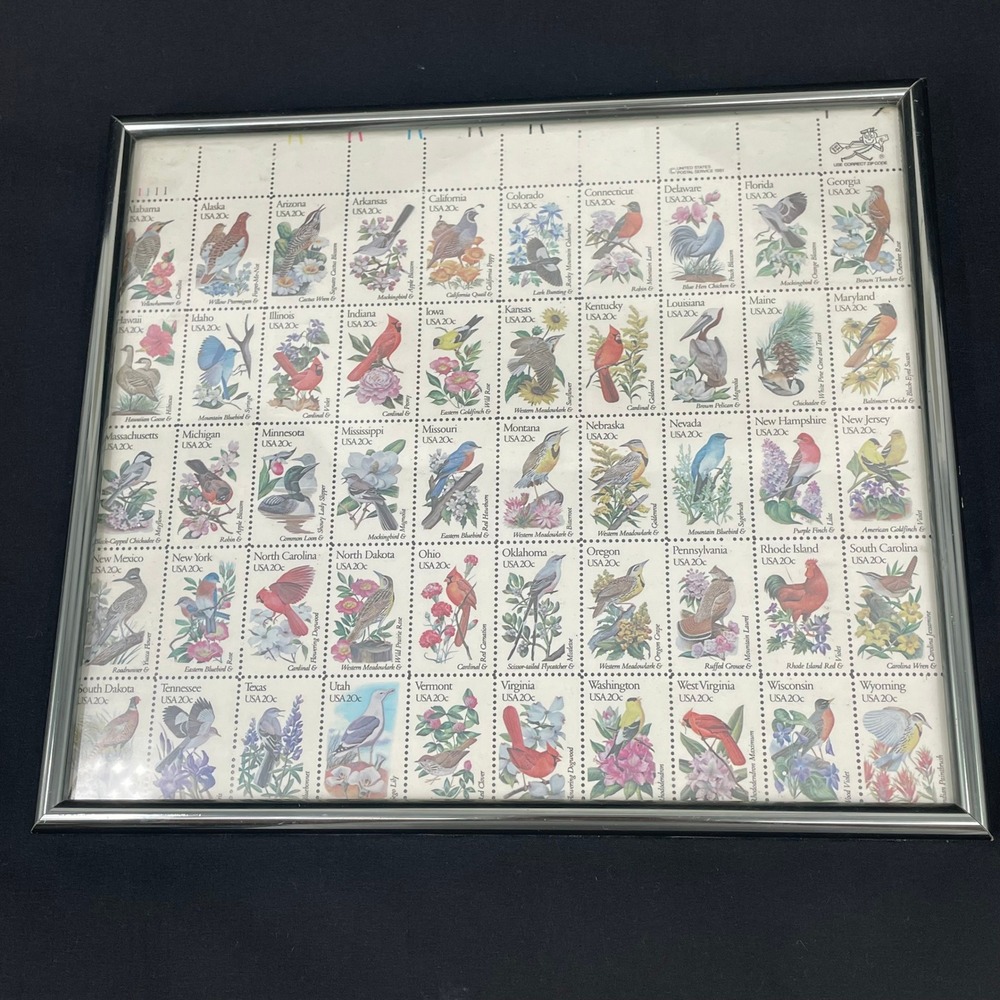 Vintage 1982 USPS State Birds and Flowers 20 Cent Stamp Sheet Framed 50 Stamps